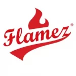 Flamez Logo Thumbnail