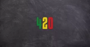 420 Cannabis Cultuur